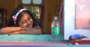 Bisleri Water Bottle 20 Litre