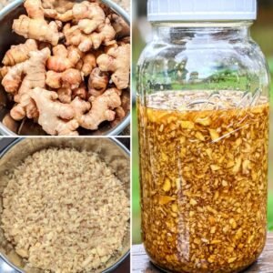 BENEFITS OF GINGER AND HONEY | 20 BENEFITS BENEFITS OF GINGER AND HONEY