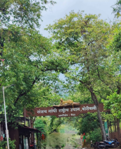Yeoor hills waterfall