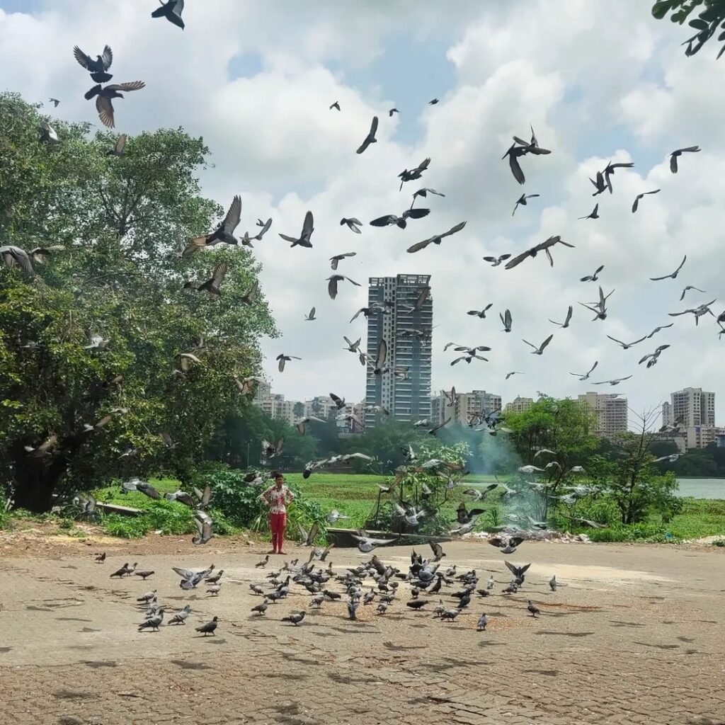 How to reach Powai lake