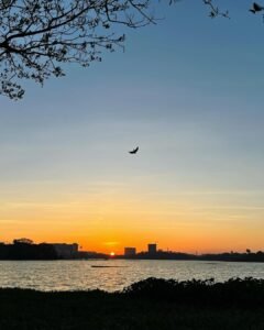 How to reach Powai lake 