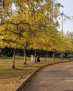 Central Park Kharghar Navi Mumbai