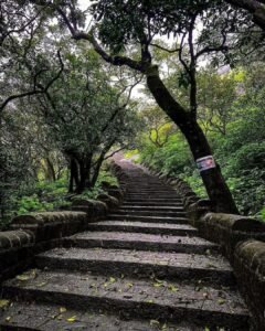 Rajmachi View Point