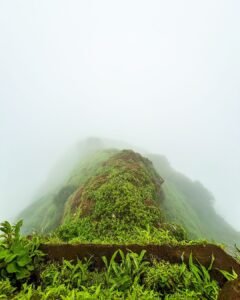 Camping in Mahabaleshwar 