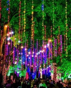 Upvan Lake Festival Thane