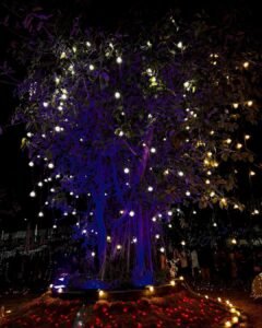 Bandra Reclamation Christmas