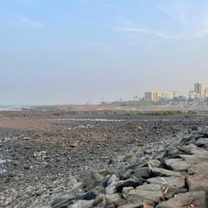 Bandra Fort Detail Information Bandra Fort Detail Information