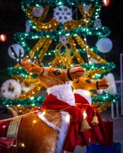 Bandra Reclamation Christmas