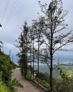 Where is Sinhagad Fort | All Details About 2025 Where is Sinhagad Fort