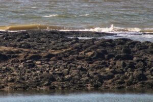 Aksa Beach | Mumbai 2025 Aksa Beach