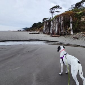 Kalaloch Beach