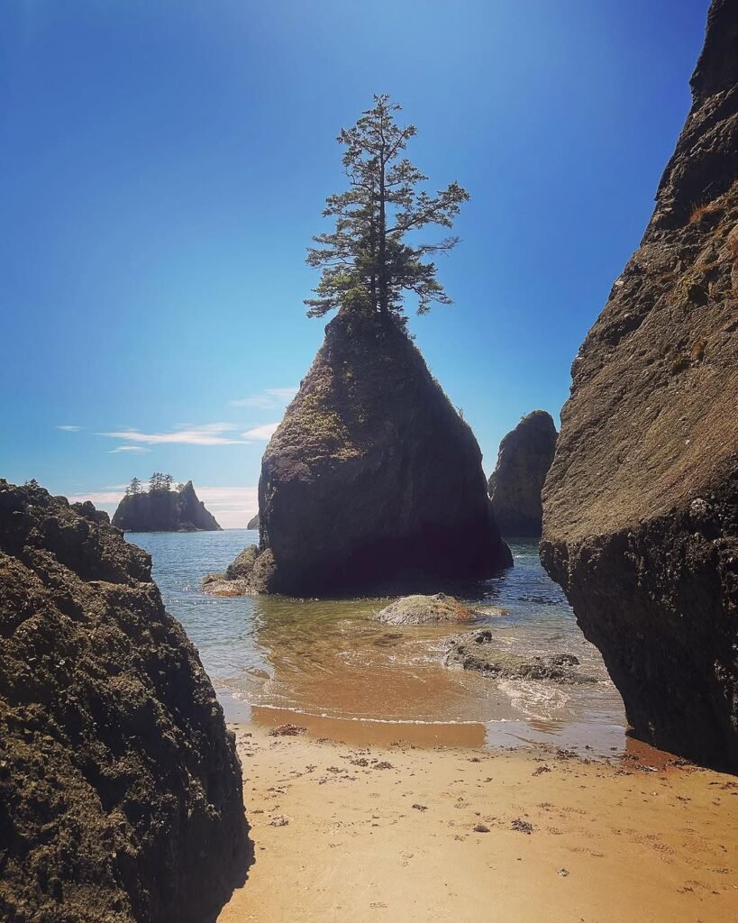 shi shi beach