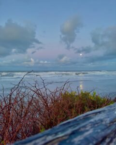 Kalaloch Beach