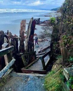 Kalaloch Beach