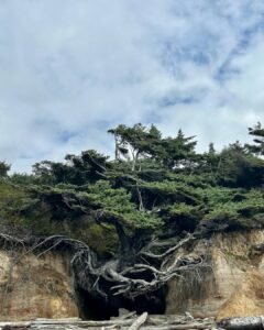 Kalaloch Beach