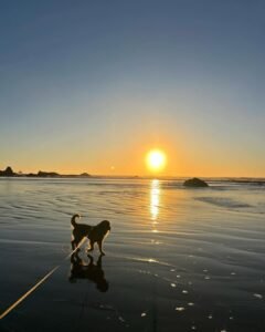 Kalaloch Beach