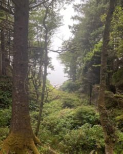 Kalaloch Beach