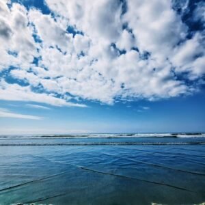 Kalaloch Beach