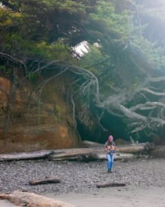 Kalaloch Beach