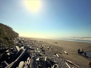 Kalaloch Beach