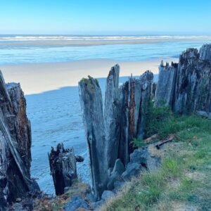 Kalaloch Beach