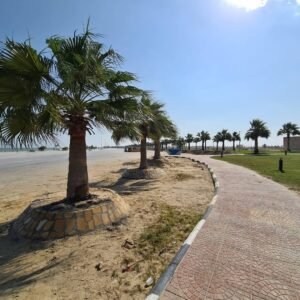 Uqair Beach | Saudi Arabia 2025 Uqair Beach