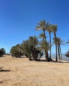 Umluj Beach