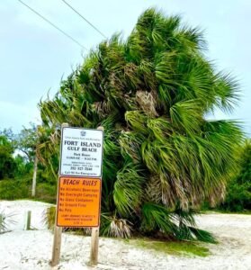 Fort Island Beach 