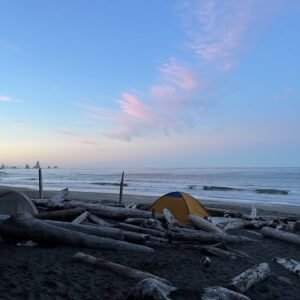 Kalaloch Beach 3