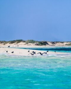 Umluj Beach