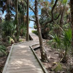 Fort Island Beach 