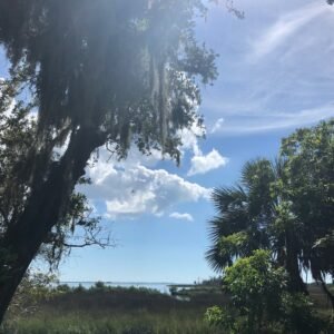 Fort Island Beach 