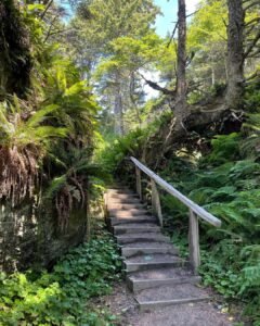 Kalaloch Beach 3