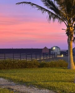 Kaust South Beach 