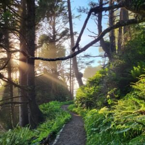 Kalaloch Beach 3