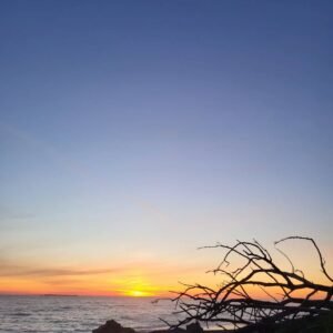 Kalaloch Beach 3