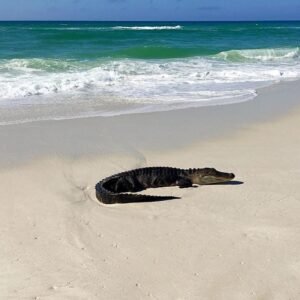 Water Canyon Beach