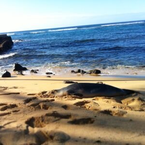 Lawai Beach Kauai