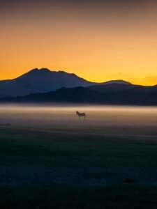 hanle ladakh