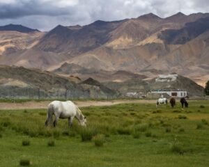 hanle ladakh