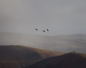 hanle ladakh