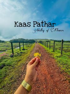 Kaas Pathar