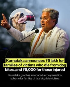 Karnataka dog bite compensation scheme