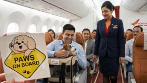 Air India Paws on Board policy