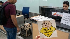 Air India Paws on Board policy